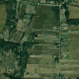 Topana map(satellite map)