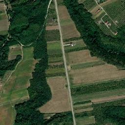 Moşoaia map(satellite map)