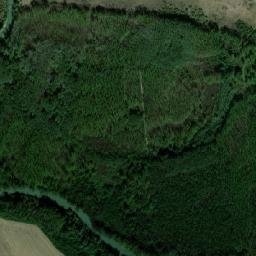 Drăgăneşti map(satellite map)