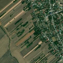 Sălciile map(satellite map)