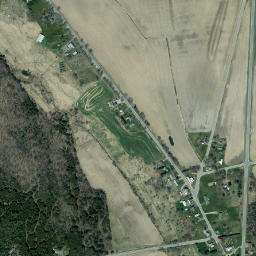 Ingraham New York High Resolution Satellite Map