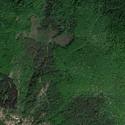 Comuna Topleţ map(satellite map)