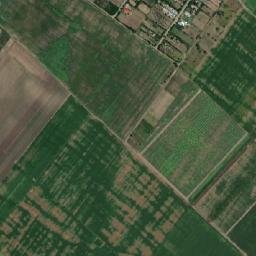 Roşiori map(satellite map)