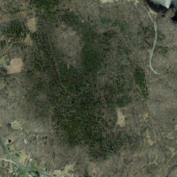 Jericho New York High Resolution Satellite Map