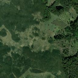 Gârnic map(satellite map)