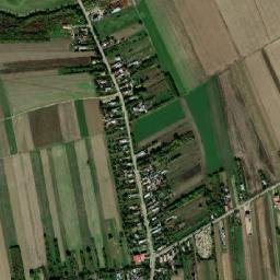 Crivina map(satellite map)
