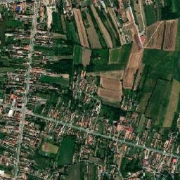 Badovinci map(satellite map)