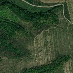 Dobroteasa map(satellite map)