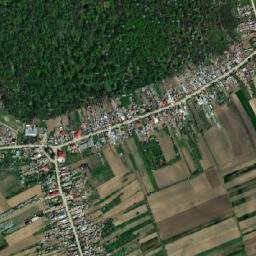 Nucet map(satellite map)
