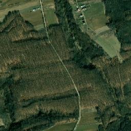 Comuna Vedea map(satellite map)