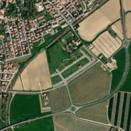 Migliarino map(satellite map)
