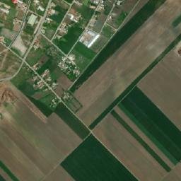 Stejaru map(satellite map)