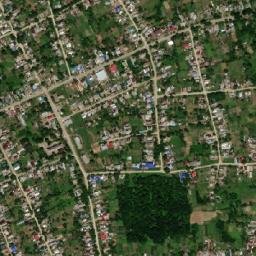 Rodnikovskaya map(satellite map)