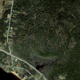 Merrill New York High Resolution Satellite Map