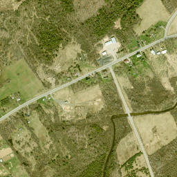 Stockholm Center New York High Resolution Satellite Map