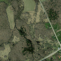 Dickinson New York High Resolution Satellite Map