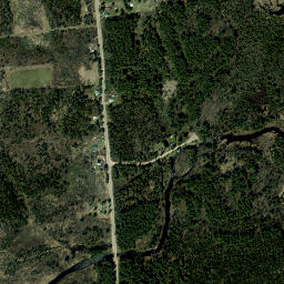 Reynoldston New York High Resolution Satellite Map