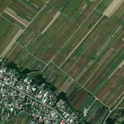 Pătuleni map(satellite map)