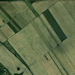 Gruiu map(satellite map)
