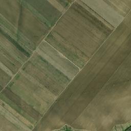 Casimcea map(satellite map)