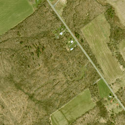 Kellogg New York High Resolution Satellite Map