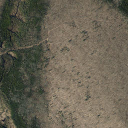 Essex County map(satellite map)
