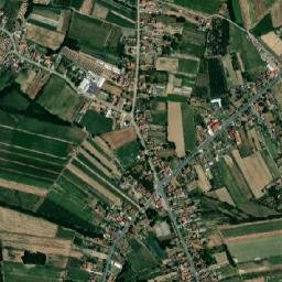 Bogosavac map(satellite map)