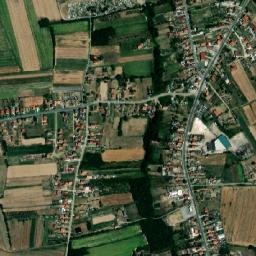 Jevremovac map(satellite map)