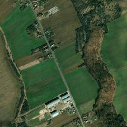 Alunișu map(satellite map)