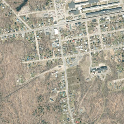 Dannemora map(satellite map)