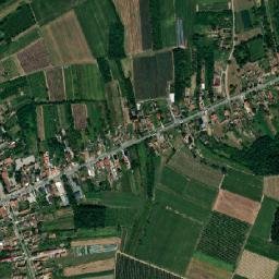 Ribari map(satellite map)