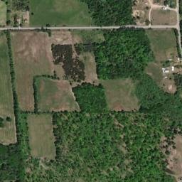 Alcona County map(satellite map)