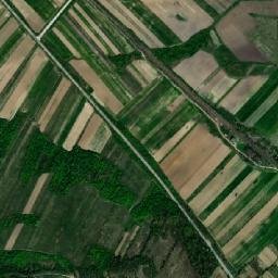 Borăscu map(satellite map)
