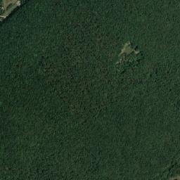 Snagov map(satellite map)