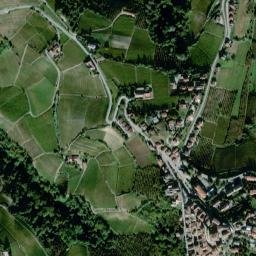Mango map(satellite map)