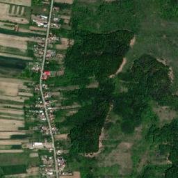 Comuna Tãlpaş map(satellite map)