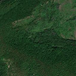 Comuna Brăneşti map(satellite map)