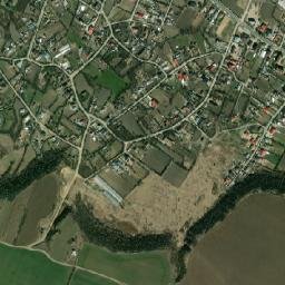 Borănești map(satellite map)
