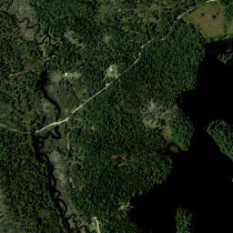 Wolf Pond New York High Resolution Satellite Map