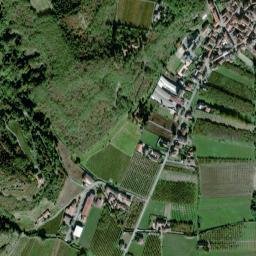 Vesime map(satellite map)