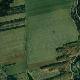 Tătuleşti map(satellite map)