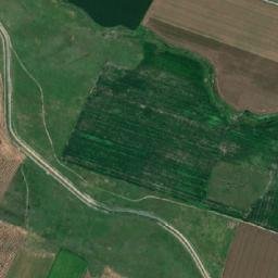 Comuna Mihai Viteazu map(satellite map)