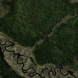 Trombley Landing New York High Resolution Satellite Map