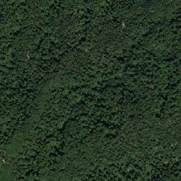 Mačva map(satellite map)