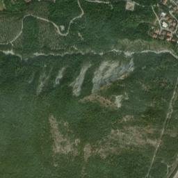 Solignano map(satellite map)