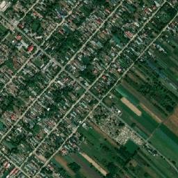 Comuna Roşiori map(satellite map)