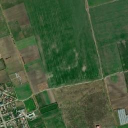 Lăcusteni map(satellite map)