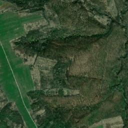 Comuna Lungeşti map(satellite map)