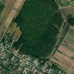 Negraşi map(satellite map)