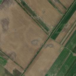 Ciocăneşti map(satellite map)